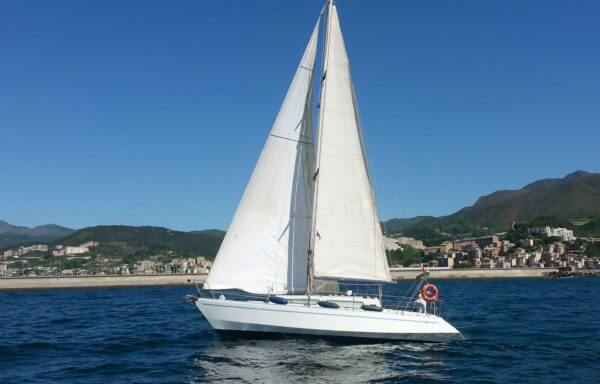 Barche a Vela